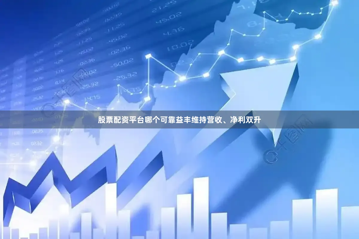 股票配资平台哪个可靠益丰维持营收、净利双升