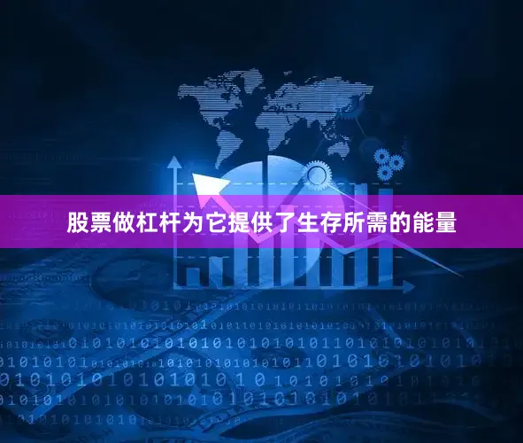 股票做杠杆为它提供了生存所需的能量