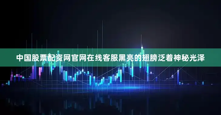 中国股票配资网官网在线客服黑亮的翅膀泛着神秘光泽