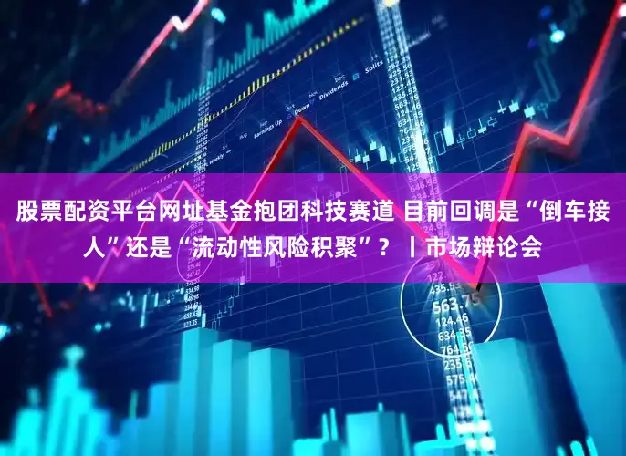 股票配资平台网址基金抱团科技赛道 目前回调是“倒车接人”还是“流动性风险积聚”？丨市场辩论会