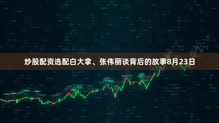 炒股配资选配白大拿、张伟丽谈背后的故事8月23日