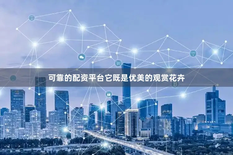 可靠的配资平台它既是优美的观赏花卉